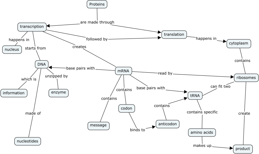 Protein Synthesis Concept Map 2.cmap?rid=1NYSVKPZS 98DZH9 2FYY&partName=htmljpeg